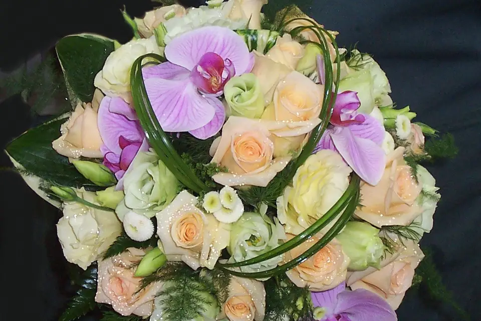 Aux Boutons d'Or — photo 4