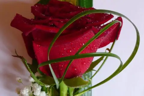 Aux Boutons d'Or — photo 6