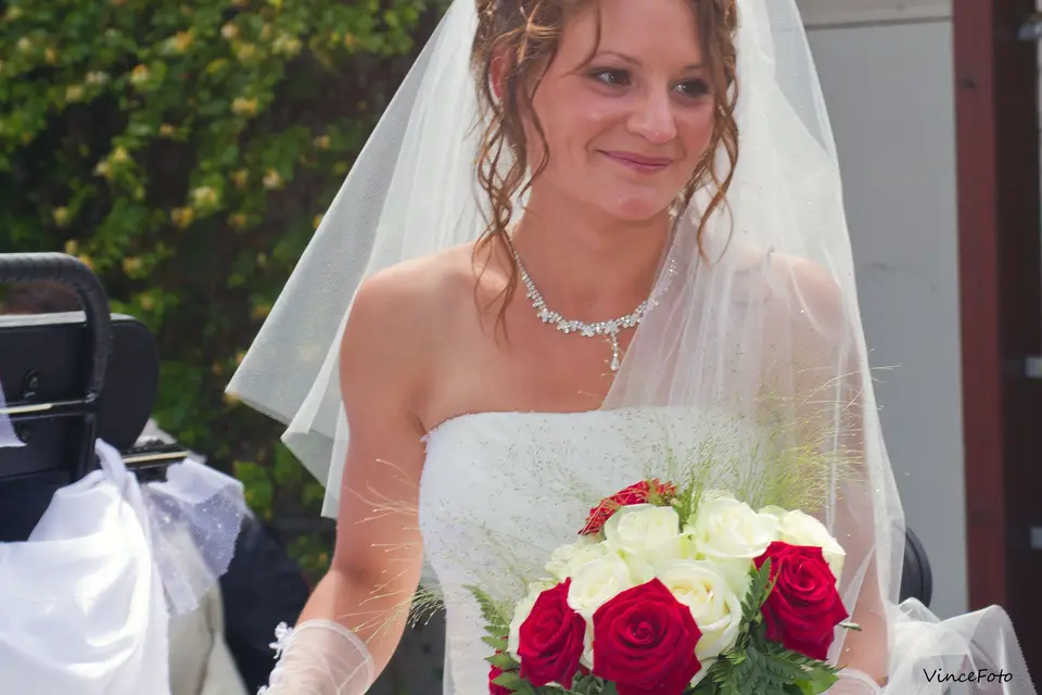 VinceFoto — photo 1