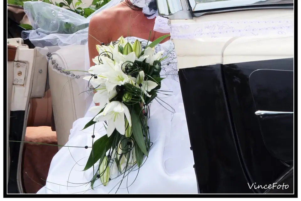 VinceFoto — photo 5