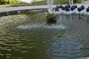 Le Ballonnier — photo 5