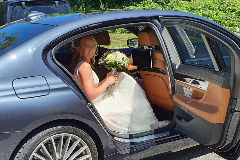 Abis Alpes Chauffeur — photo 8