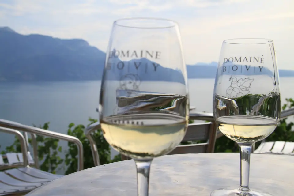 Abis Alpes Chauffeur — photo 4