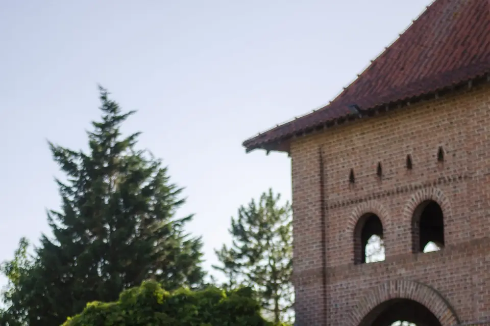 Sonia Cnudde Photographie — photo 8