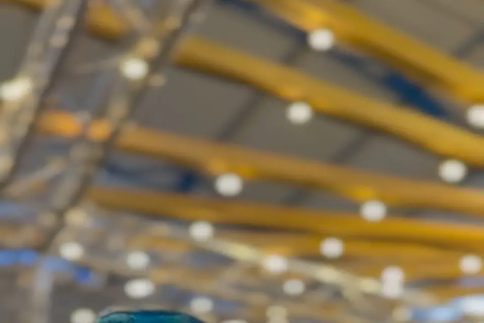 Arun Ramlogun — photo 4