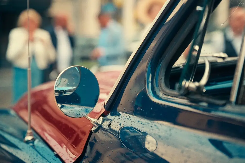 Canopée Films — photo 6