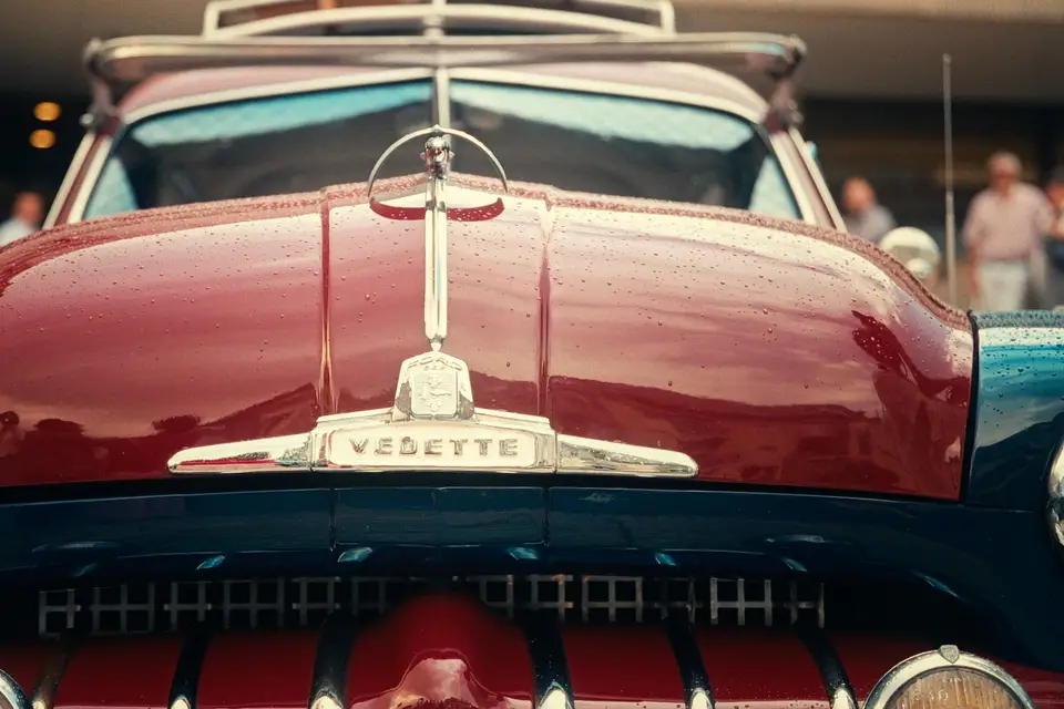 Canopée Films — photo 7