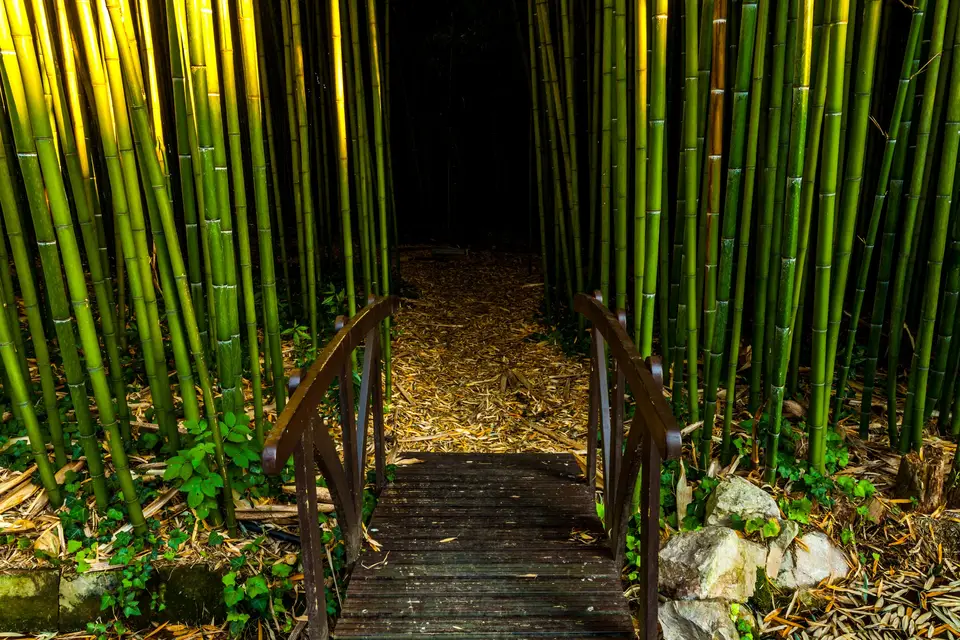 Hôtel Restaurant La Verrerie — photo 2