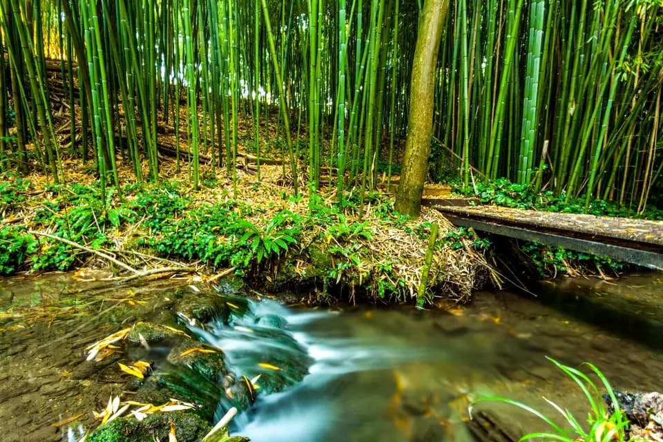 Hôtel Restaurant La Verrerie — photo 3