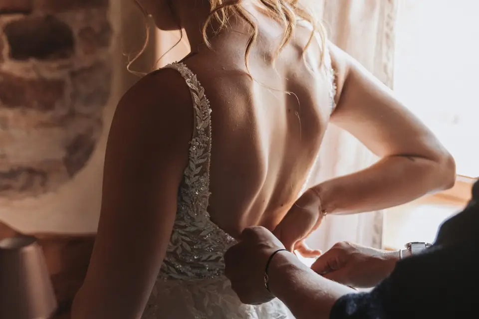 Wild Harmonies — photo 3