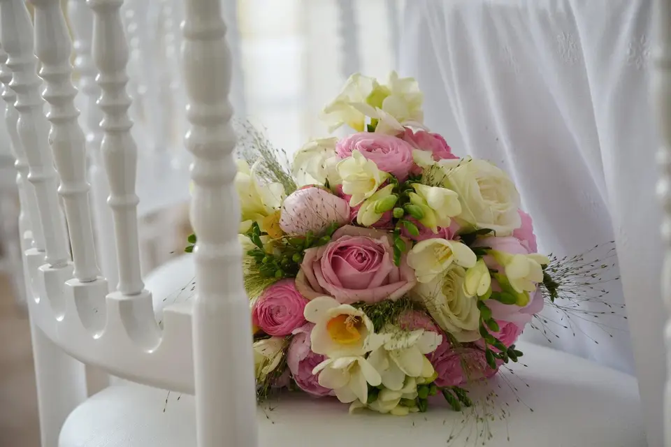 Carré Vert — photo 3