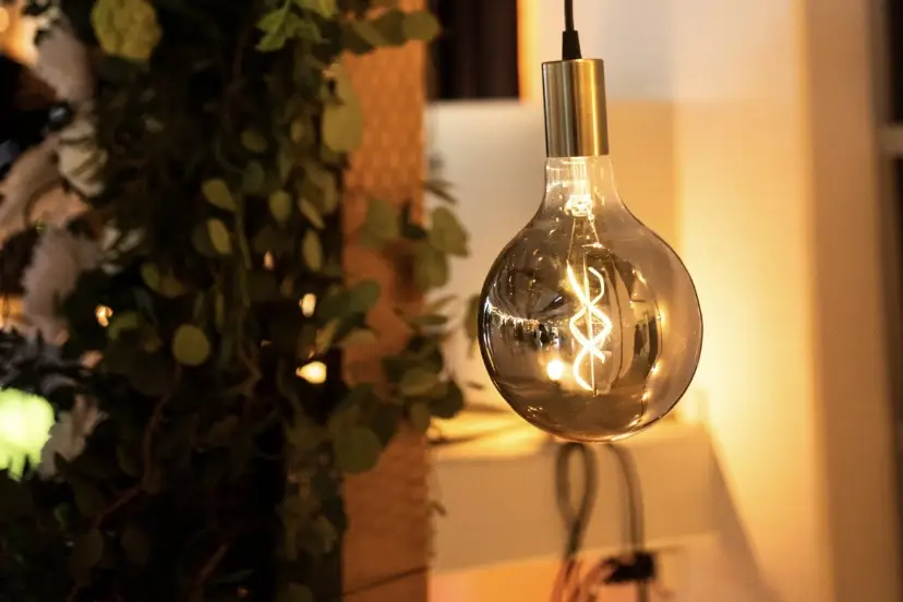 Bonheurs partagés — photo 2