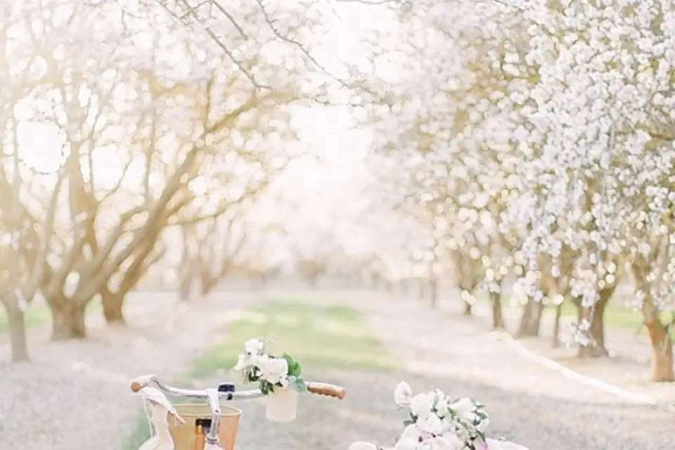 ODM Organisateur de mariage — photo 1