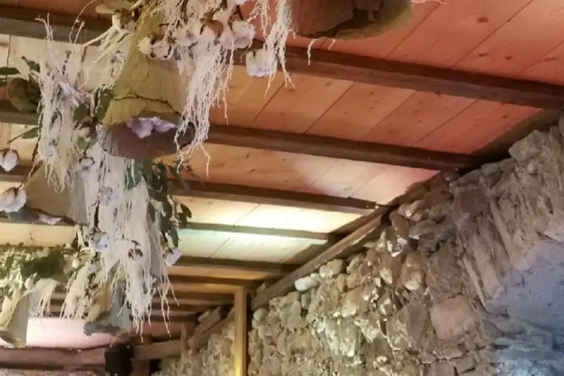 Avec un P’tit Rien — photo 5