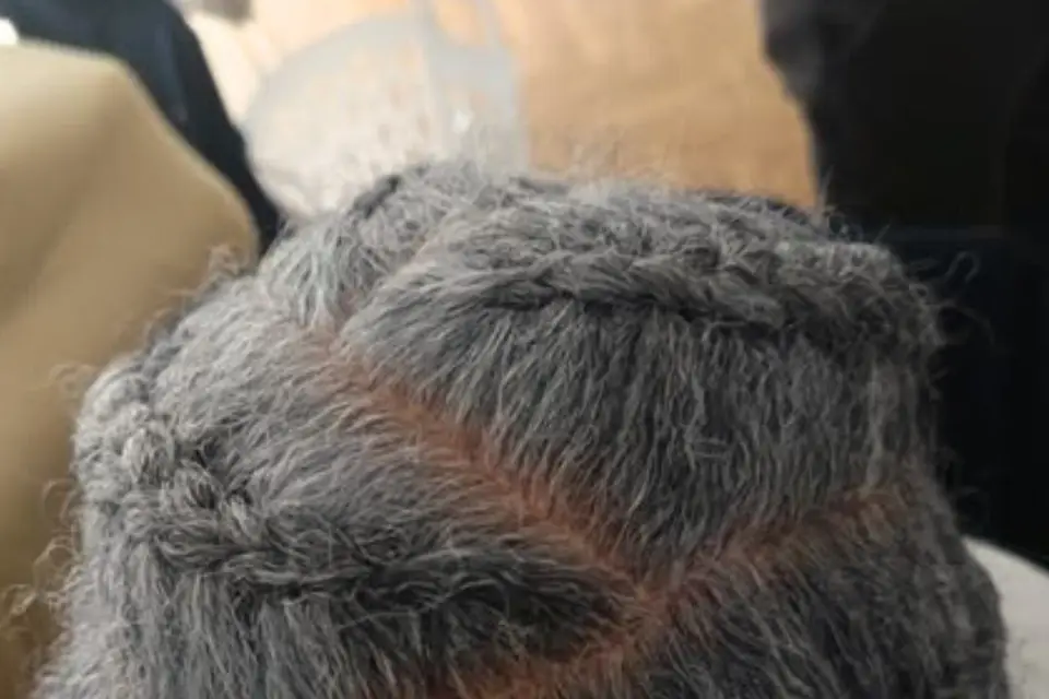 L'Odysseane — photo 5