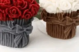 Candelapop — photo 1