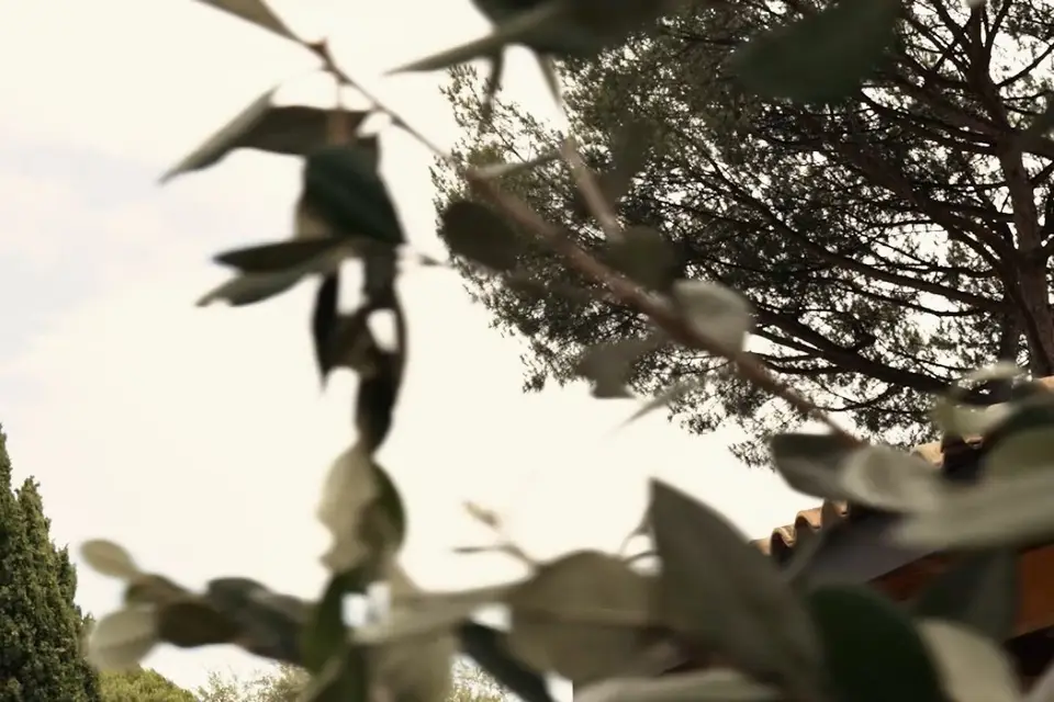 Novy Event — photo 4