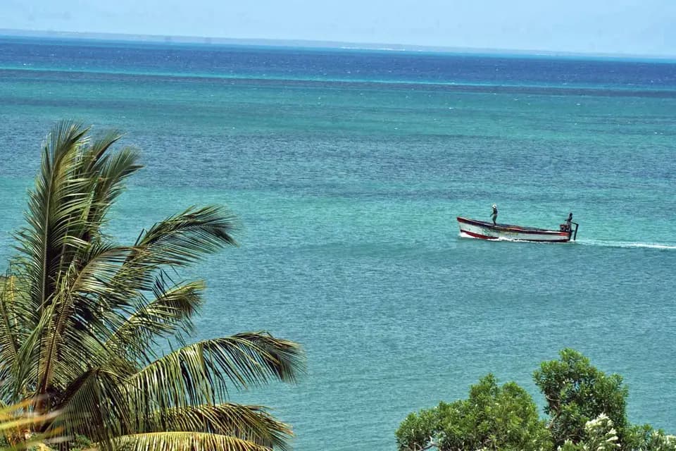 Xanadu Voyages — photo 3