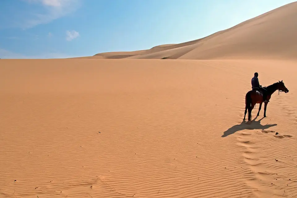 Xanadu Voyages — photo 6