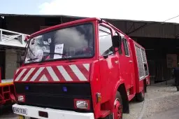 Les Pimpons — photo 4