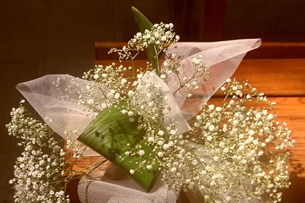 Champs Libres — photo 4