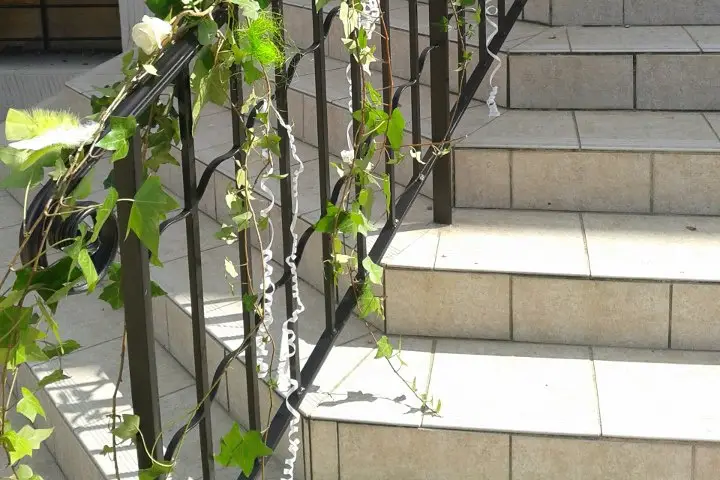 Les Fleurs De La Passion — photo 6