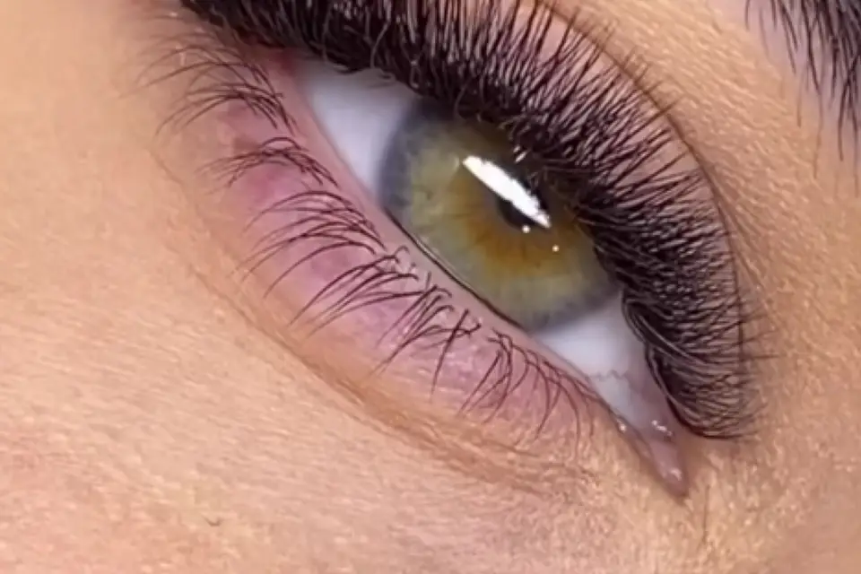 Mains de Fée — photo 8