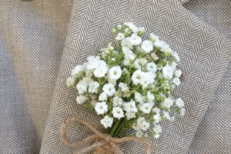 Lucas Fleurs — photo 1