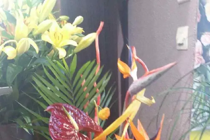 L'Enchantement — photo 1