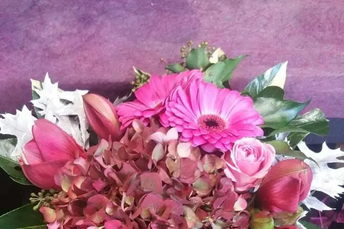 L'Enchantement — photo 2