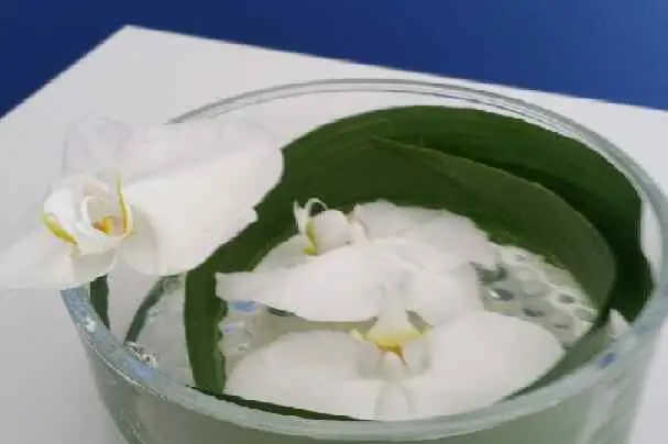 L'Enchantement — photo 4