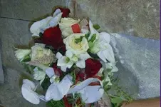 RivieraFlor — photo 1