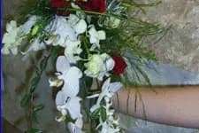 RivieraFlor — photo 3