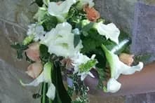 RivieraFlor — photo 5