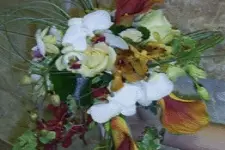 RivieraFlor — photo 6