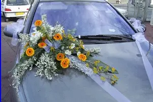 RivieraFlor — photo 8