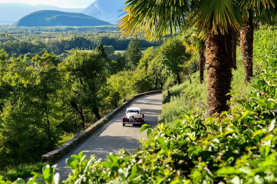 Ors et Valeurs - Emotions — photo 8