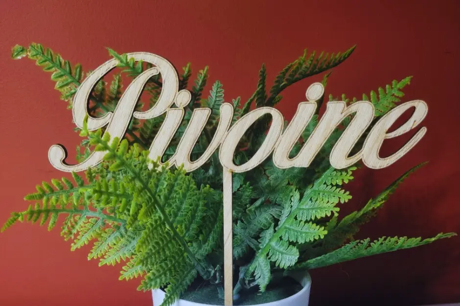 Ana Gravure Laser — photo 4