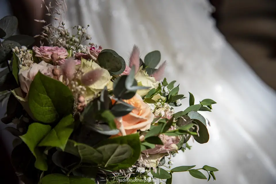 Adrianotherphoto — photo 7