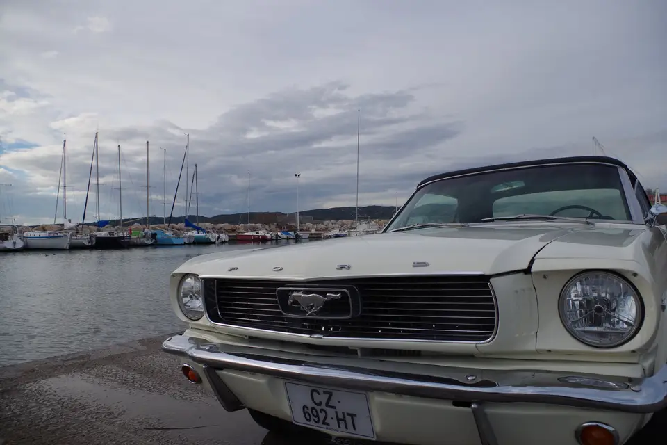 Mustang 13340 — photo 2