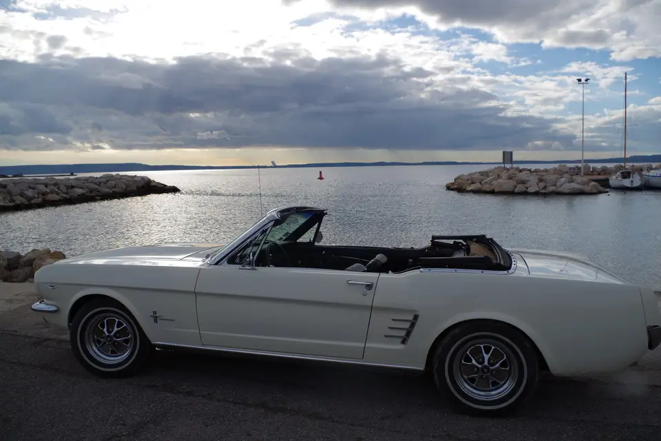 Mustang 13340 — photo 4