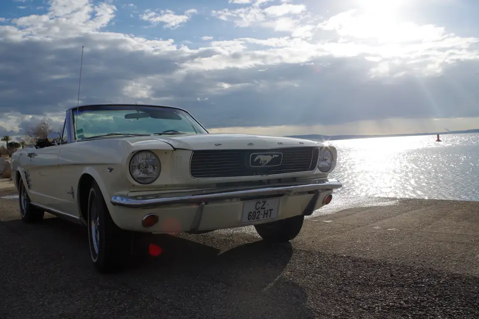 Mustang 13340 — photo 6