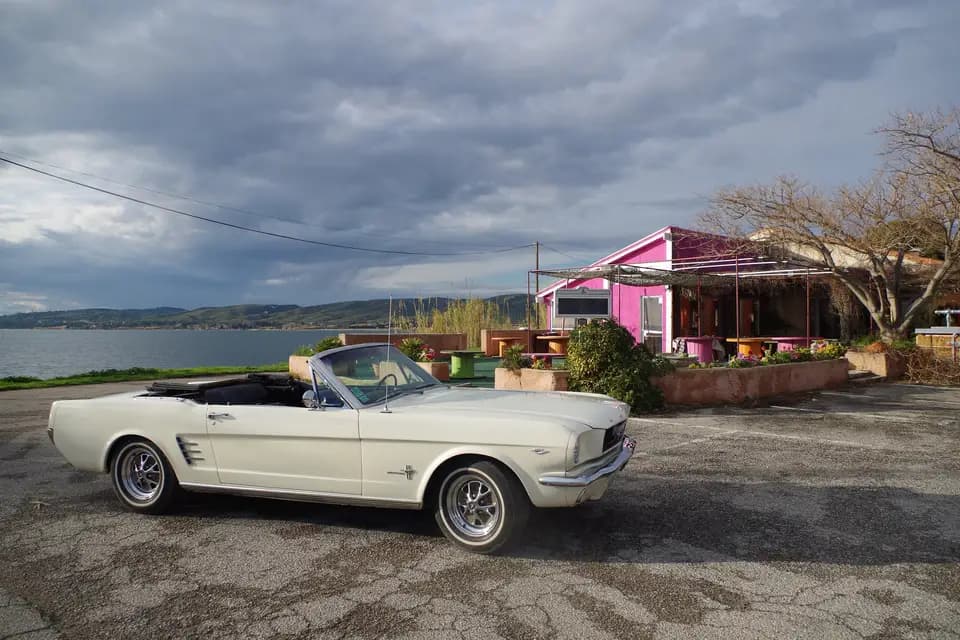 Mustang 13340 — photo 8