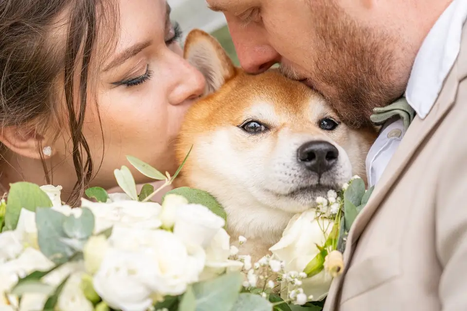 Arnoux Production — photo 5