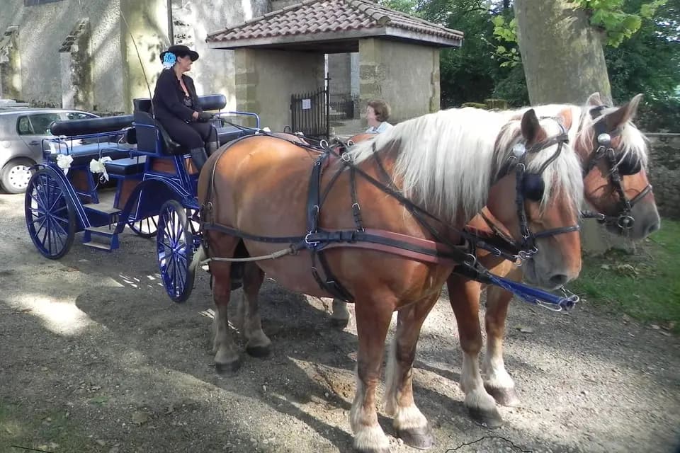 Calèches Autrot'Mant — photo 6