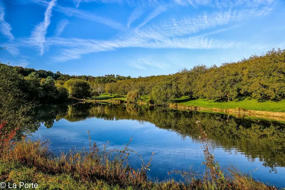 Domaine de la Porte — photo 1