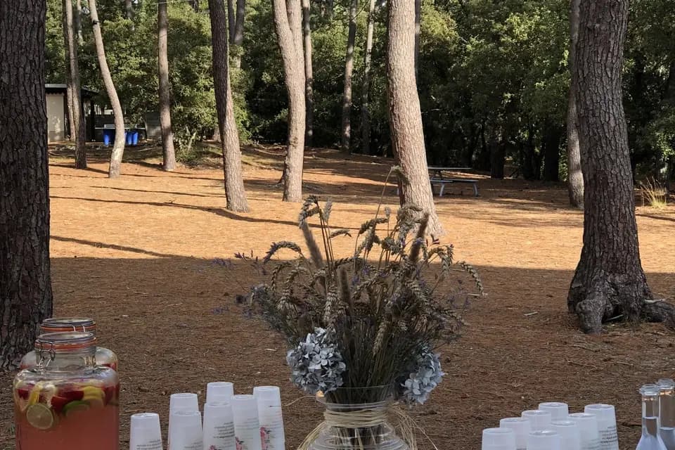 Les Jardins de L'Atlantique — photo 7