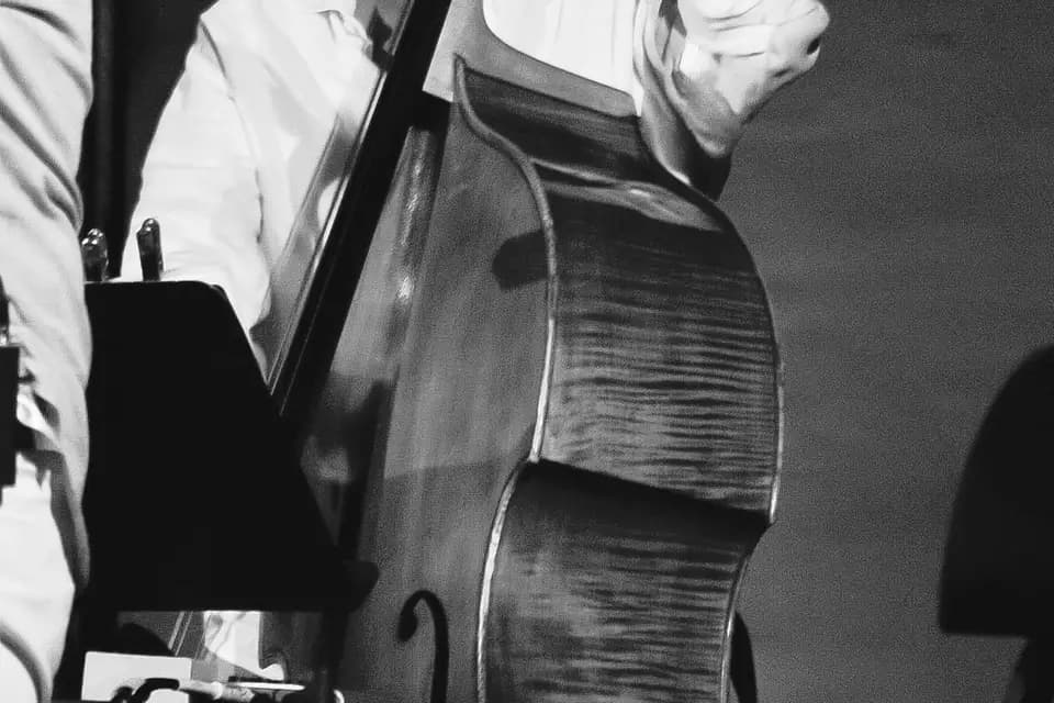 Mademoiselle Swing — photo 4