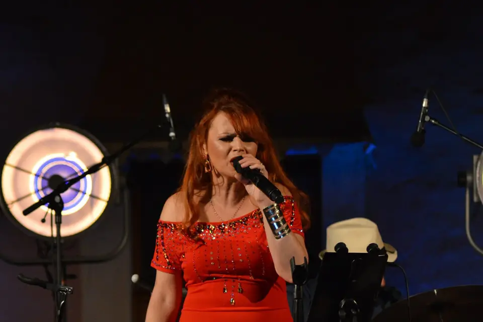 Mademoiselle Swing — photo 2