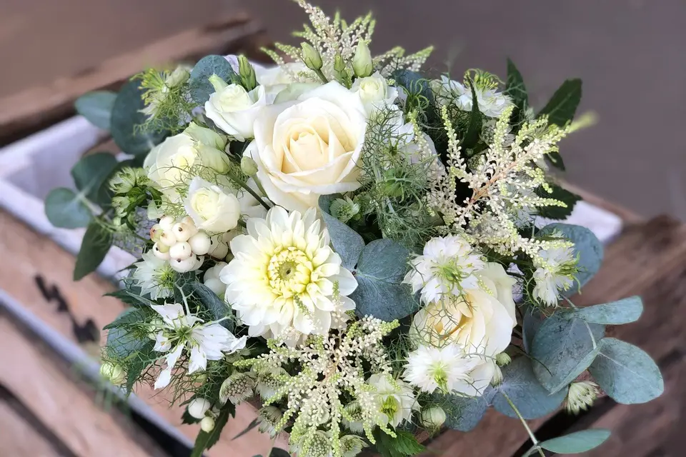 Dolce Terra — photo 8